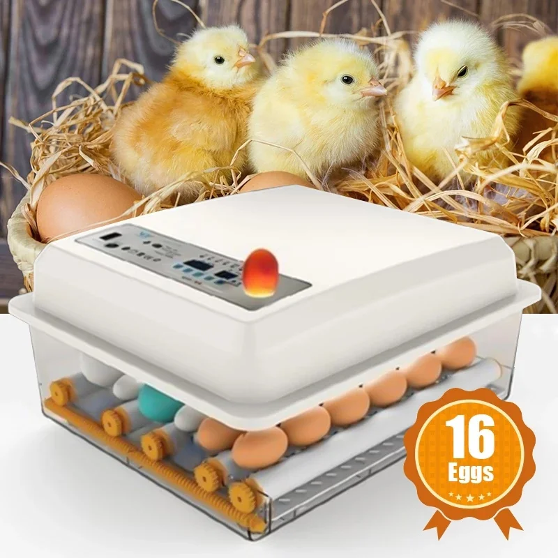 Eggs Incubator Brooder Bird Quail Chick Hatchery Incubator Poultry Hatcher Turner Automatic Farm Incubation Tools R1755