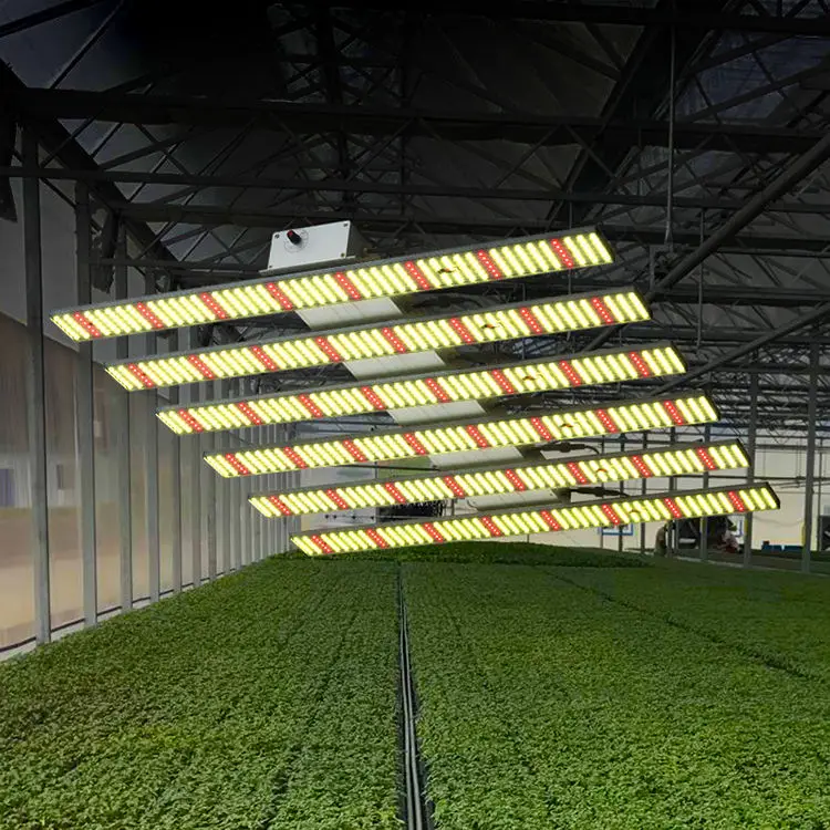 New Wholesale Customized Good Quality Indoor Plant Grow Growth Lights In Plants warm light