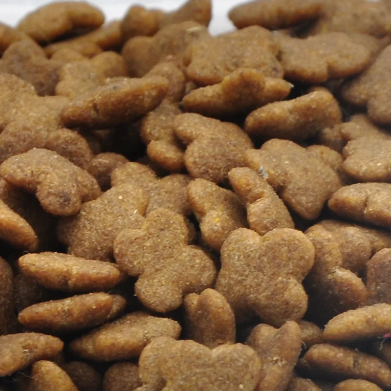OEM ODM Wholesale Natural Fish Chicken Flavor Various Shapes High Quality Pet Dry Food Dog Cat Food