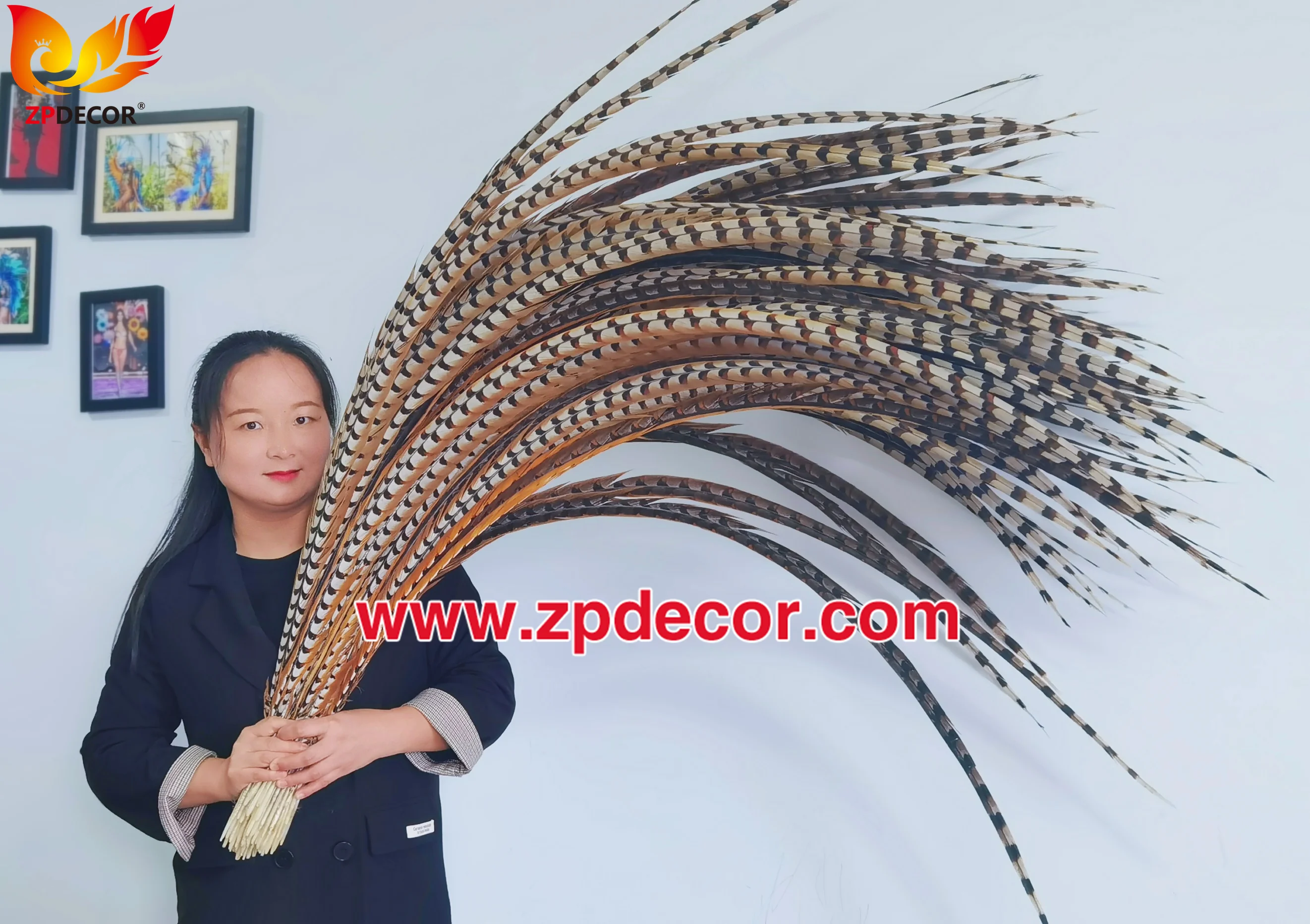 Factory Wholesale from ZPDECOR  150-160 cm Super Long  Natural Reeve Pheasant Tail Feathers for Carnival Costumes