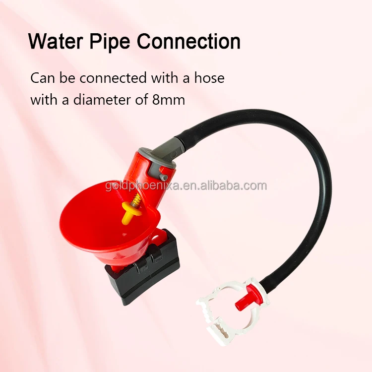 yyc poultry farming drinker chicken waterer automatic chicken drinker water cup for gamefowl running pens