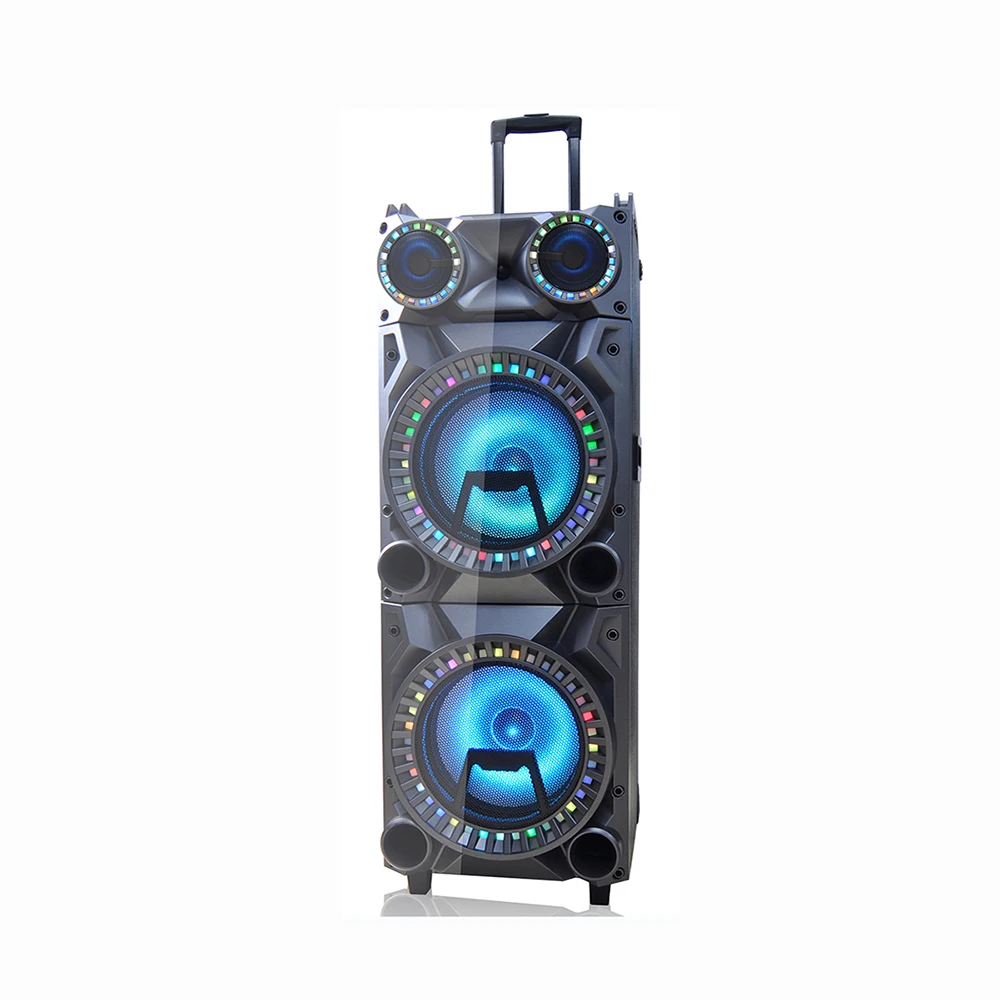 Big karaoke mic amplifier module active speaker with TWS DSP USB, SD, LED digital display