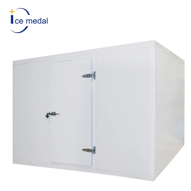 Icemedal Hot Sale Factory Chambre Froide Cold Storage Deep Freezer Cool Room For Fruits And Meat