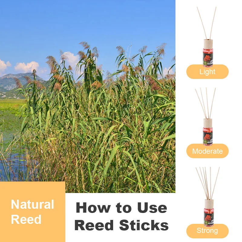 Natural Fragrance Home Decor Rose Custom Air Freshener Toilet Perfume Aroma Reed Diffuser Sticks Reed Diffuser Bottle