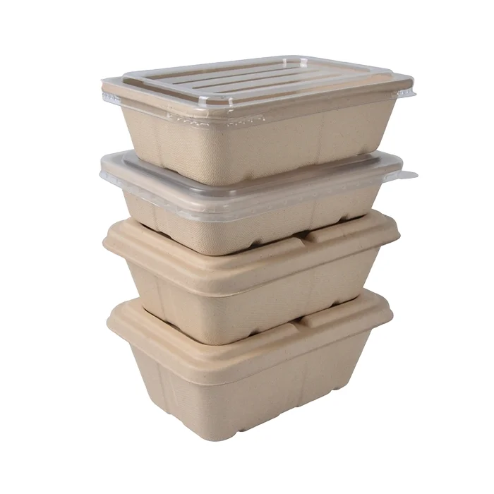 Custom takeaway charcuterie paper plate disposable food container packaging food packaging boxes