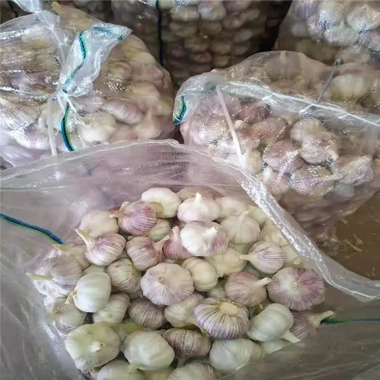 Organic Laiwu Fresh Garlic in China Premium White Garlic Wholesale China White Garlic 3p in Carton