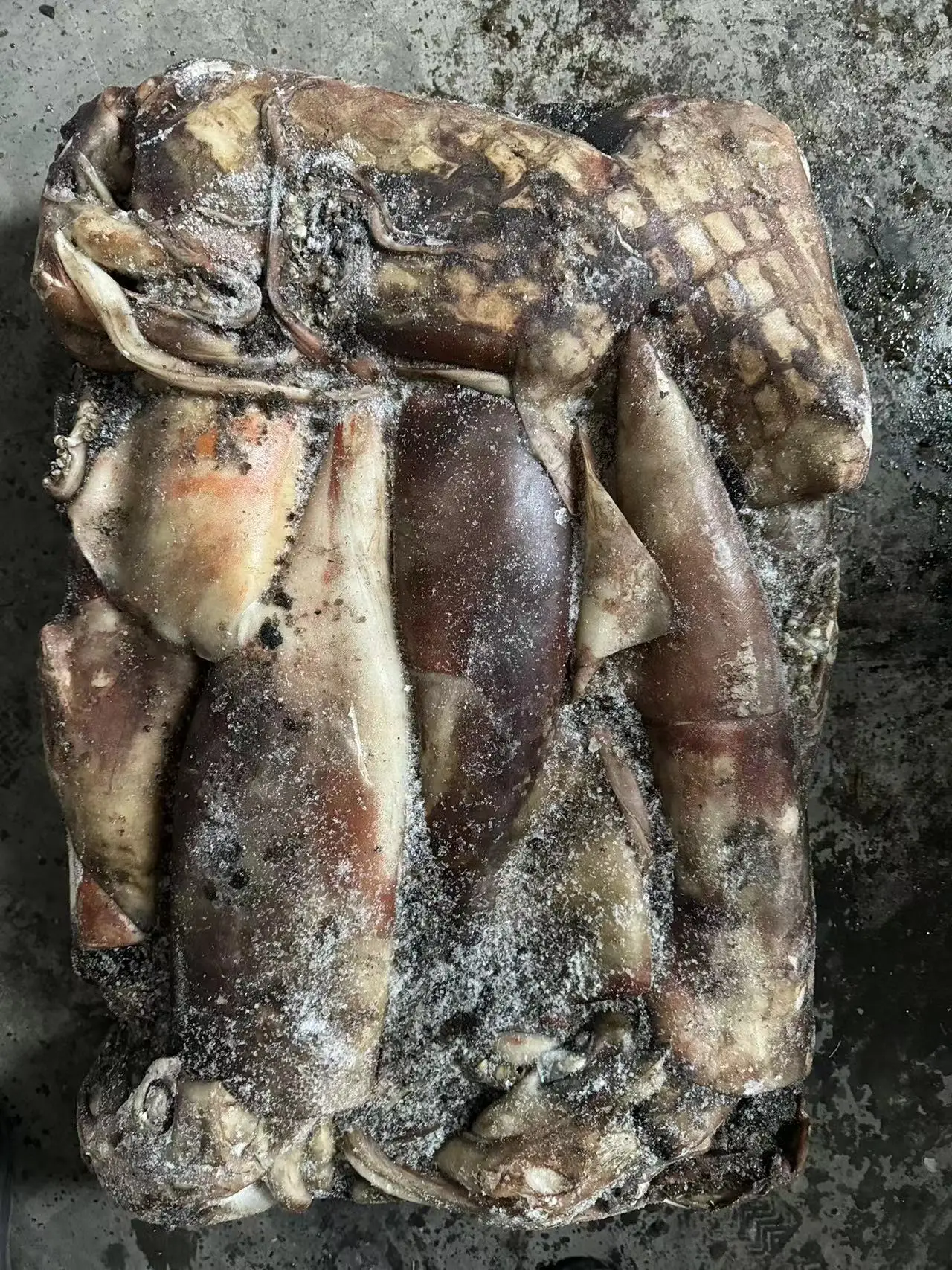 Wholesale Woven Bag Whole Round Peru Squid Dosidicus Gigas Frozen Giant Squid