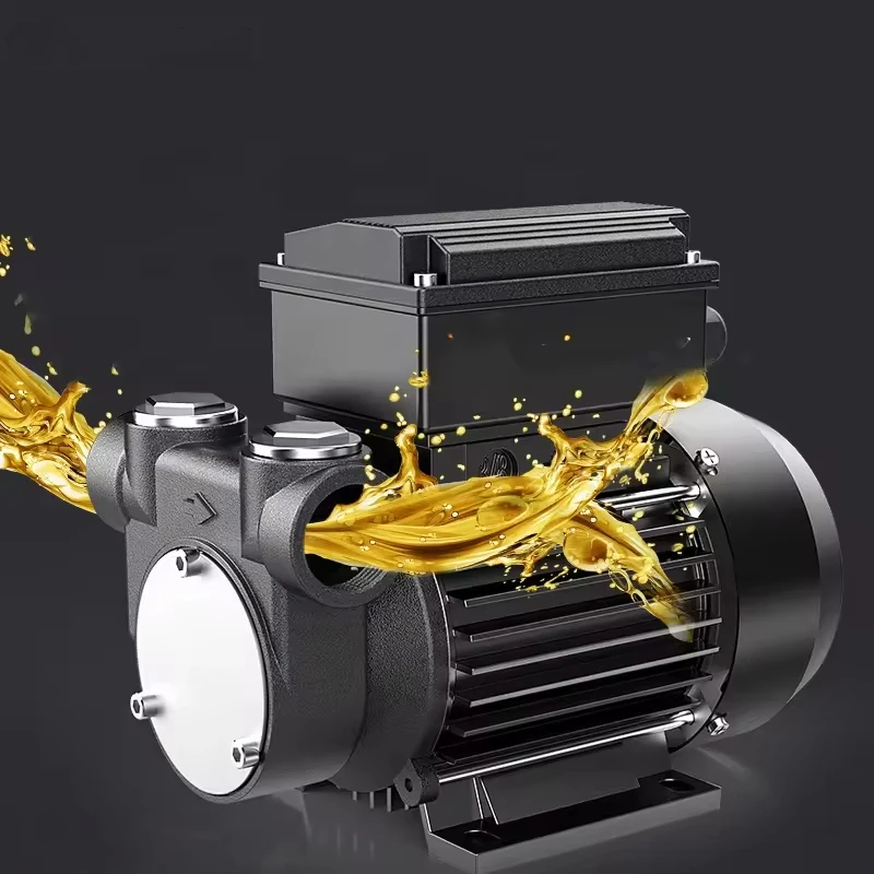 Seirna Electric Diesel Oil Transfer Pump 12V 24V HighQuality Pump for Diesel Oil Transfer with Easy Operation