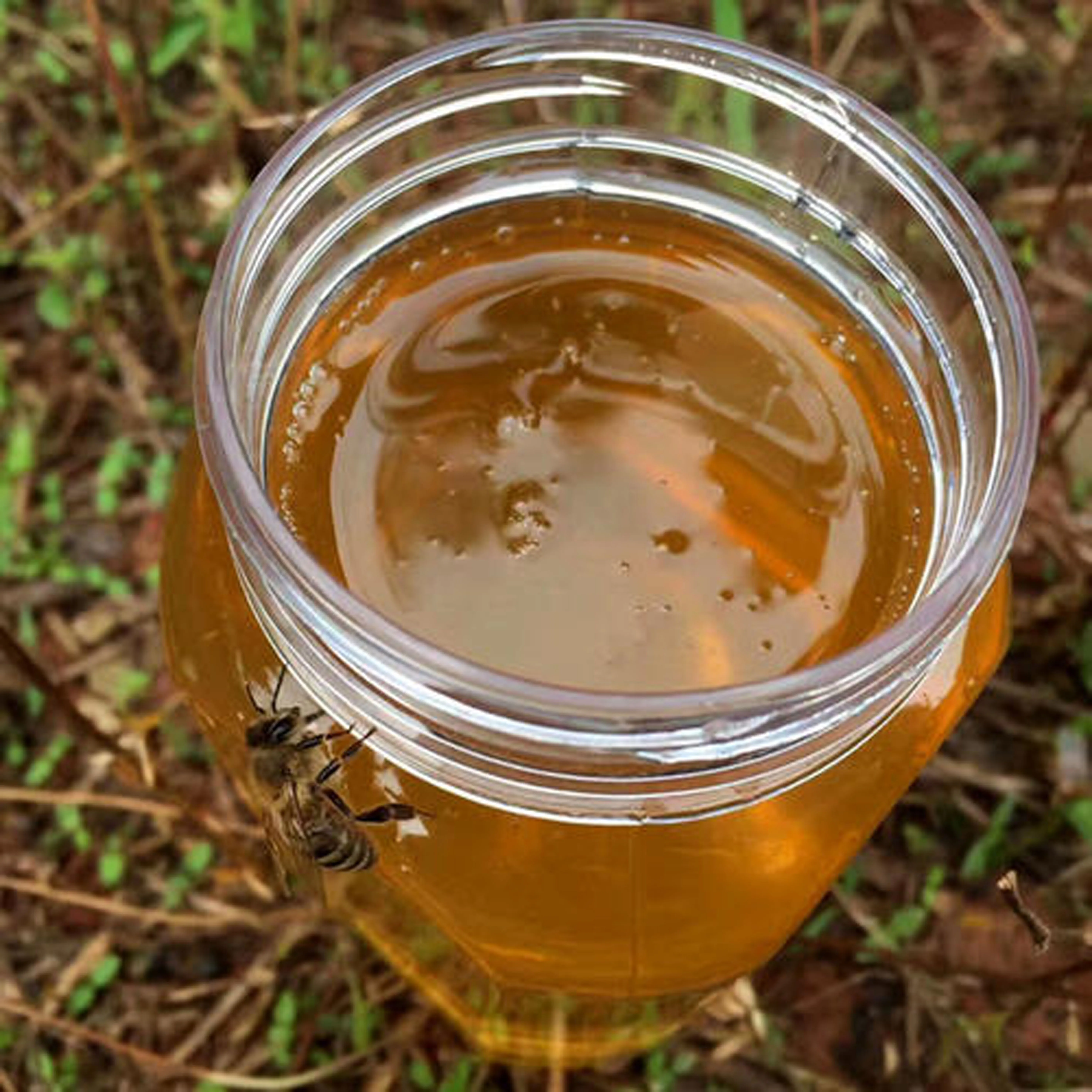 Meifang Food 12 Months Shelf Life Royal Honey Vip Pure Honey Vital High Quality From China