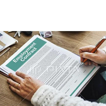 English-Chinese translation for business contracts