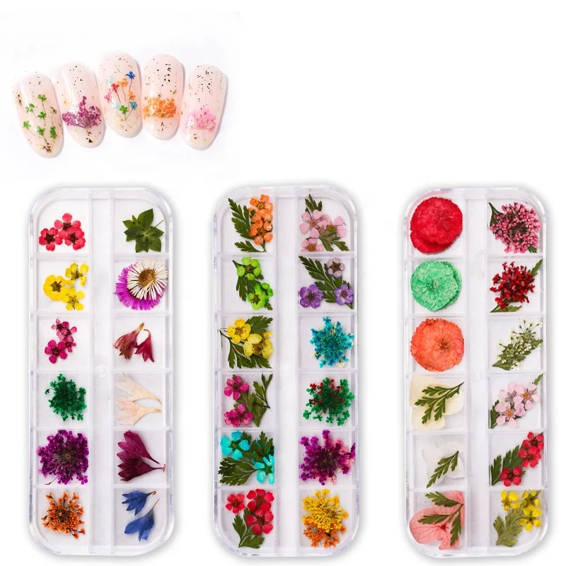 Wholesale Dried Flowers for Resin Mold Nail Art Small Tiny Real Natural Flower Decoration Supplies