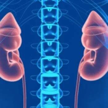 DSC Niton Analyzer Cobas C111 Analyzer Immunoassay Analyzer