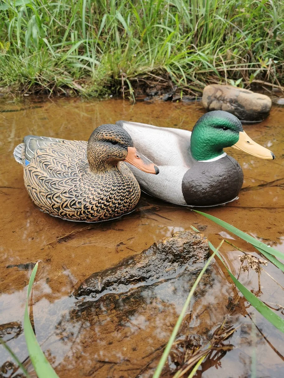 Hunting Decoying Ducks Simulation Duck Green Head Mallard EVA  Duck Decoys For Sale