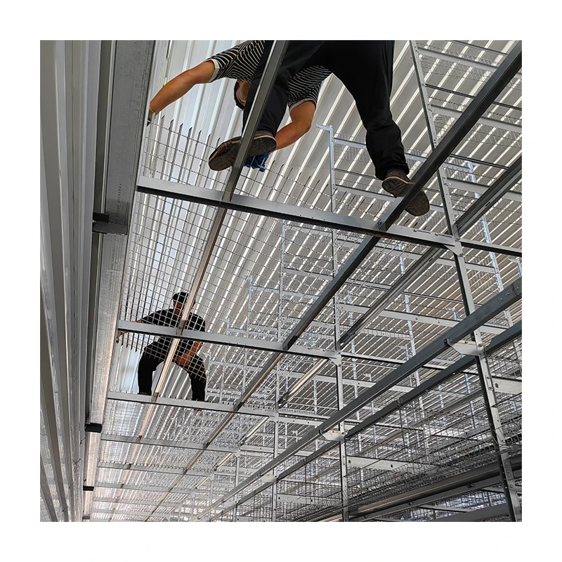 Custom Galvanized Steel Grate Metal Grating Outdoor Walkway Bridge Solution with Graphic Design Capability