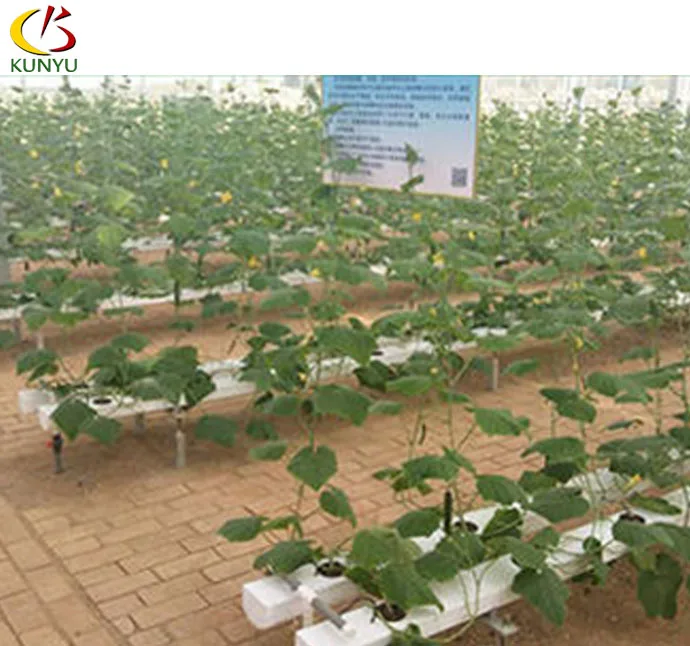 Manufacturer supply 120*80mm NFT Greenhouse Complete Hydroponic Growing  System for Melon and Fruit