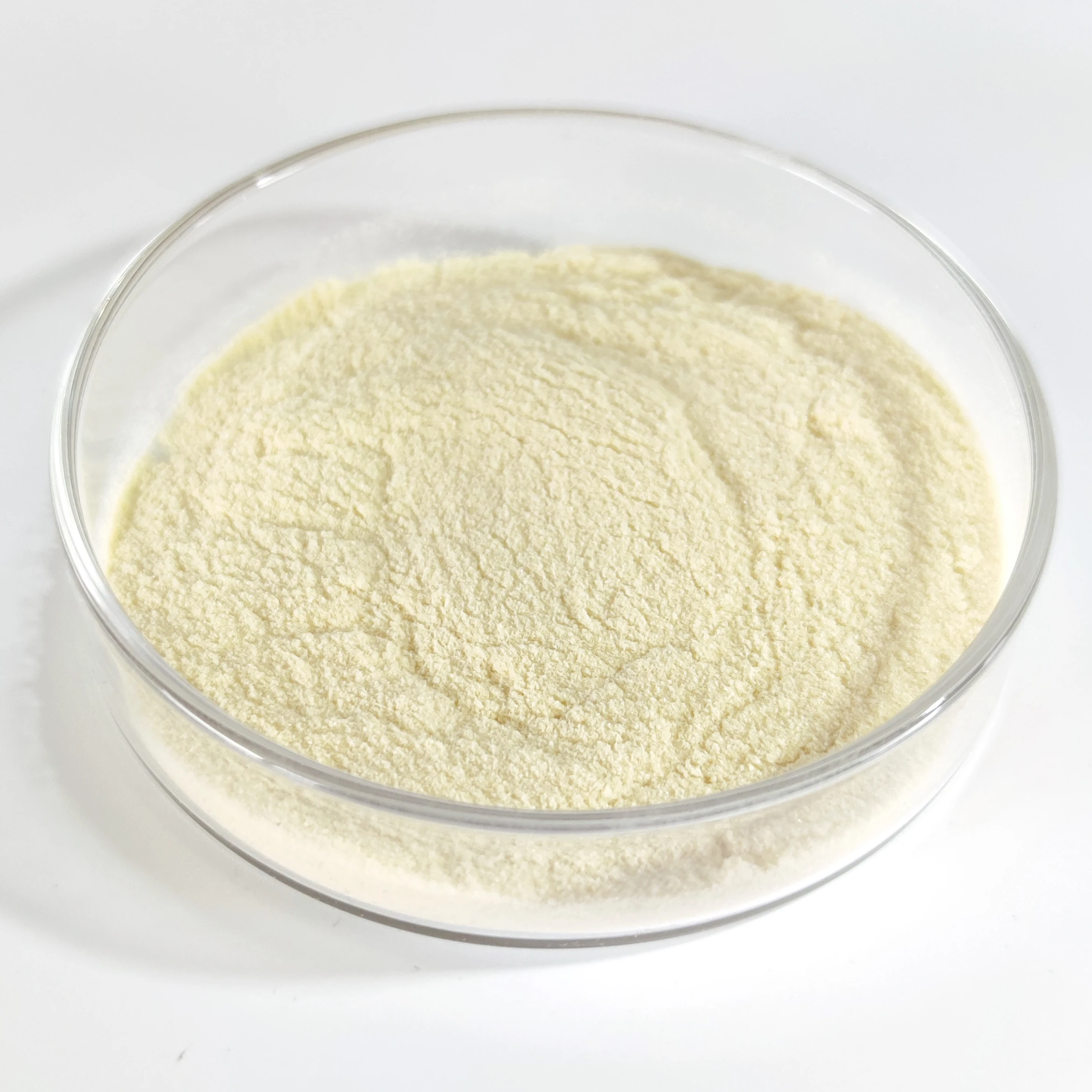 High Quality Improve Feed Utilization And Production Performance.100 Billion Clostridium Butyricum livestock Animals