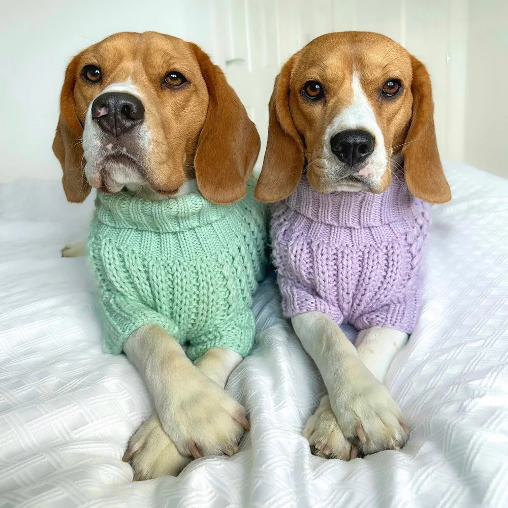 Custom logo High Quality Knit Wool Pullover Classic Luxury Dog Winter Jumpers Warm Apparel Sweater for Pets
