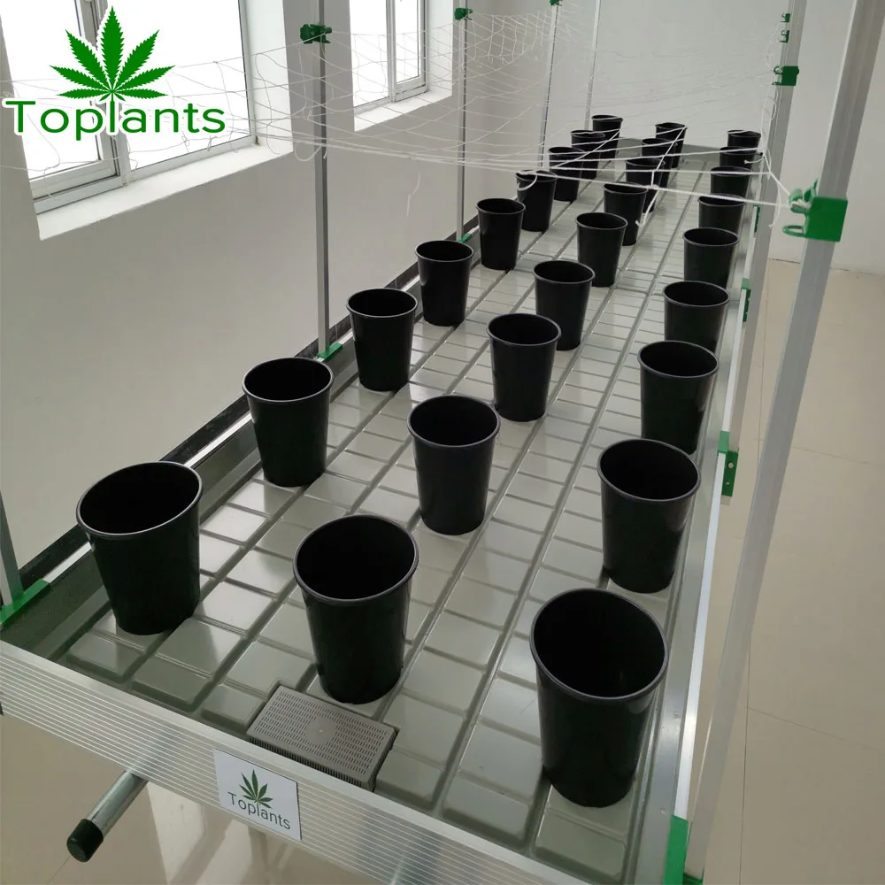 greenhouse hydroponic Plant nursery flood tray hydroponic grow agricultural growing equipment