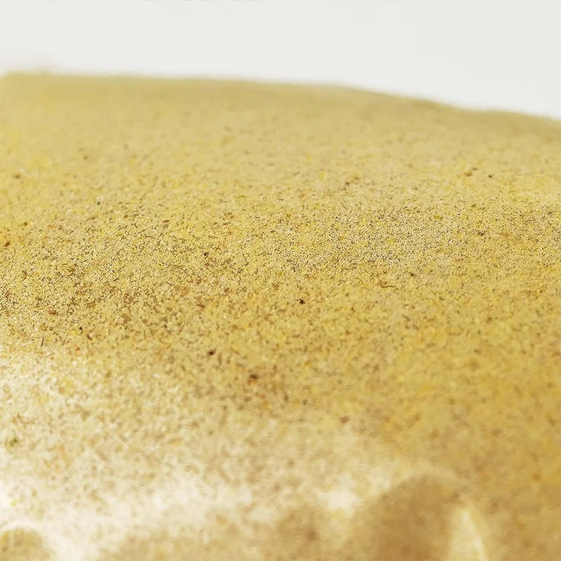 Septic Tank Treatment Septic Safe Dissolvable Easy Flush Enzyme-Producing Live Bacteria Solution