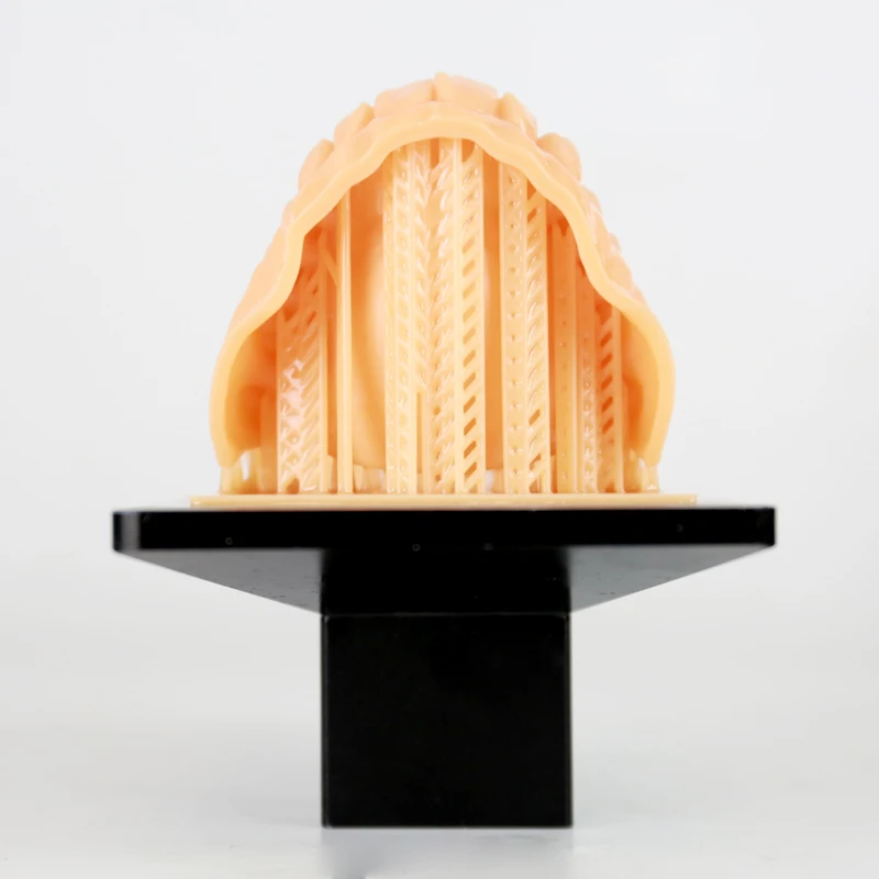 Liquid Photopolymer Resin Dental Model Resin