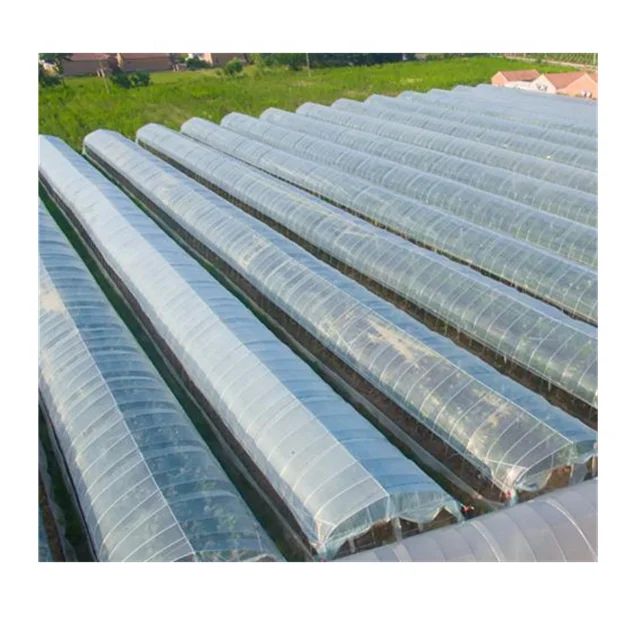 200 Micron Greenhouse Film Plastic Film for Greenhouse