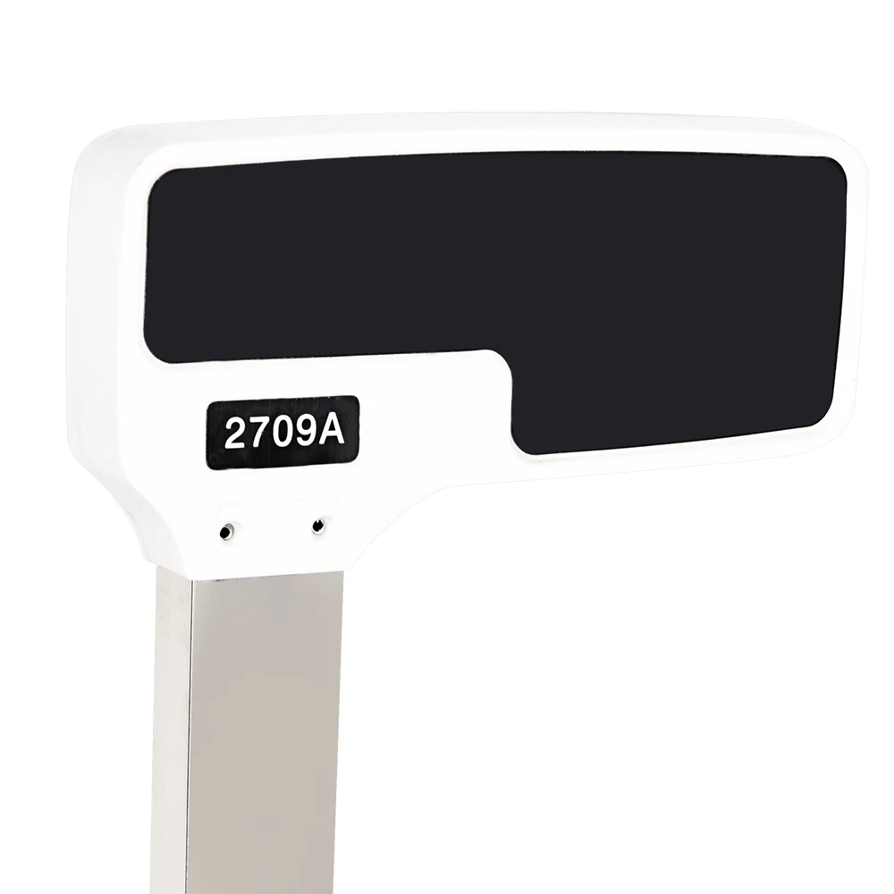 scale 15 kg scale 15 kg with 1g accuracy