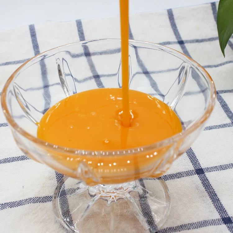 Fruit Concentrate Mango Flavor Instant Juice Drink