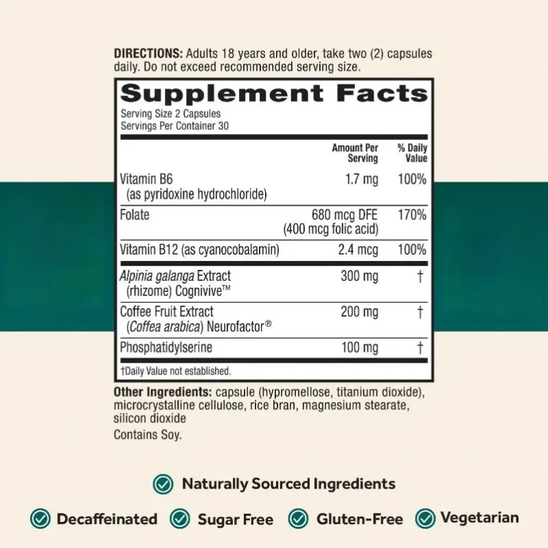 OEM Vitamins B6 & B12 Brain Health Supplement - 60 Capsules for Memory and Focus Enhancement