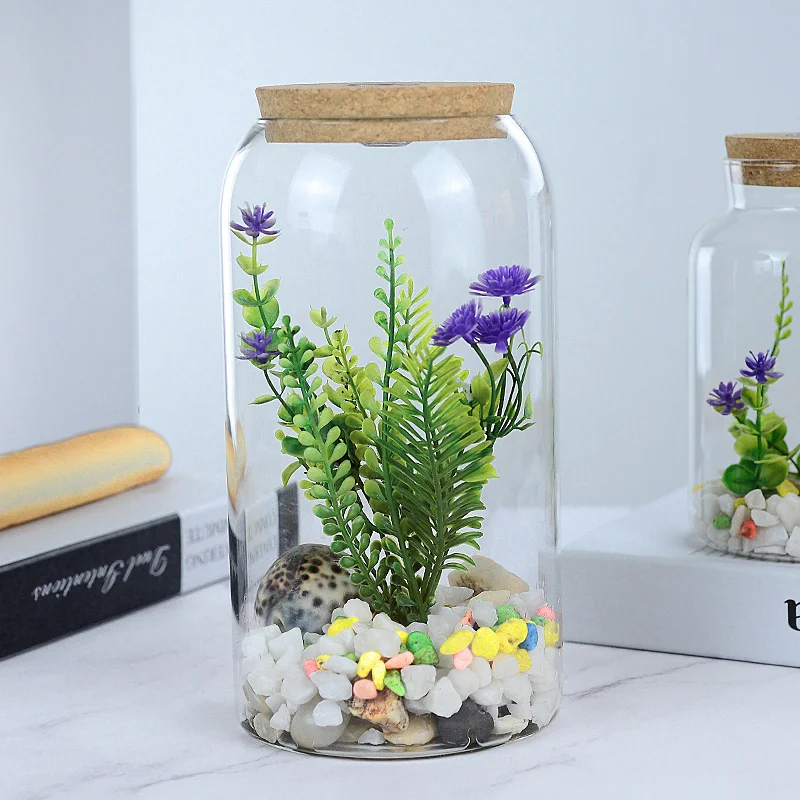 Plant Terrarium Set Recycled Glass Closed Large Terrariums For Plants