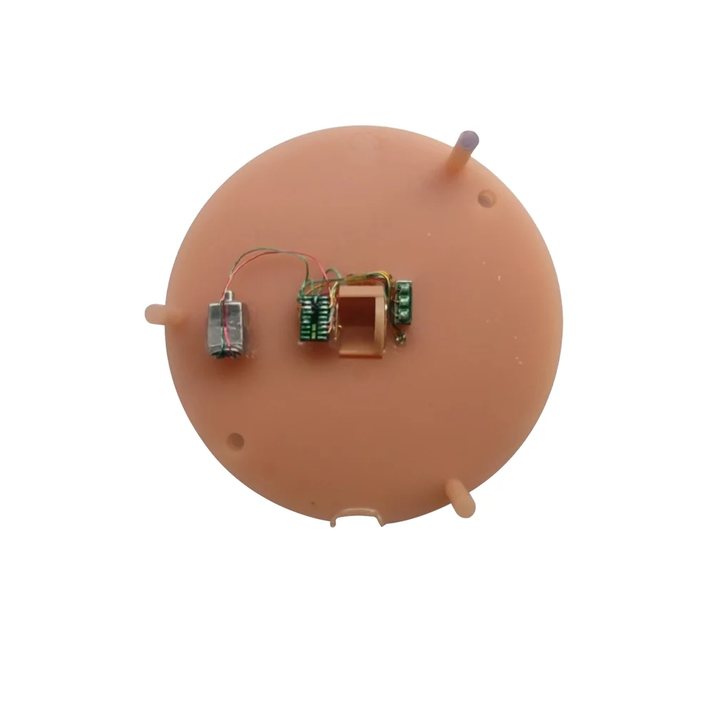 Programmable Hearing Aids Faceplate Kits Customized Hearing Faceplate CIC ITC ITE Digital Customized Hearing Aids for Deafness