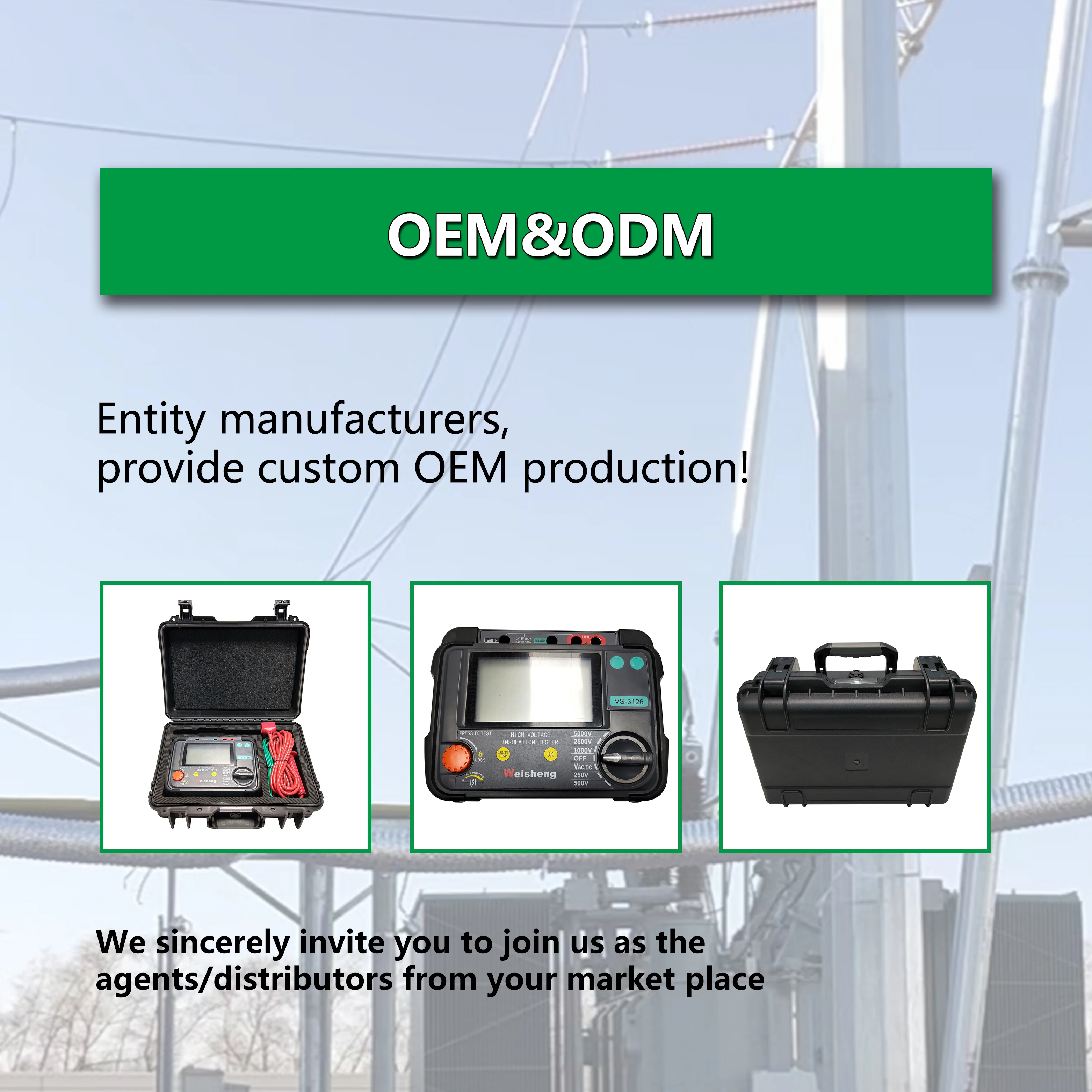 AC DC Insulation Resistance Tester Lcd Backlight Data Storage Polarization Index Measurement Digital Megohmmeter