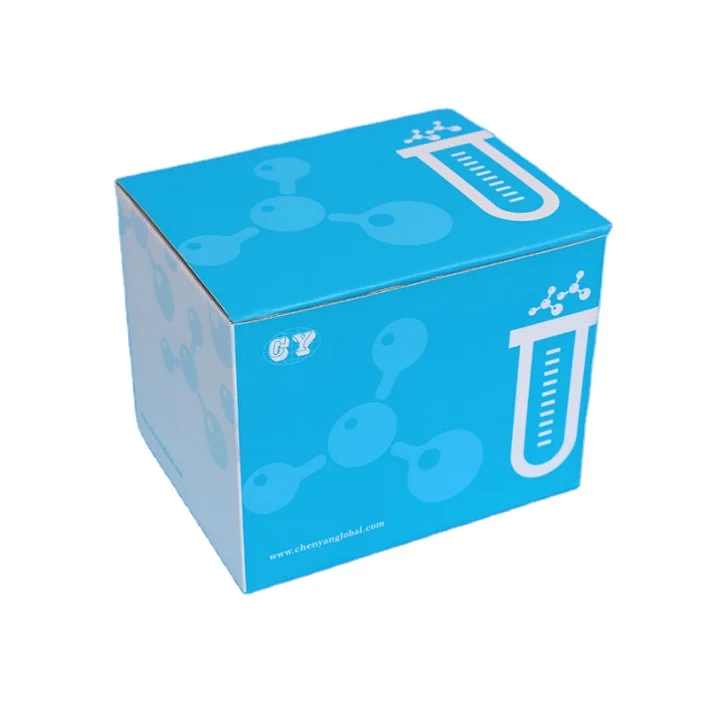 IClean Disposable Polymerase Chain Reaction Vtm Pcr Detection Swab Kit Pcr Dna Test Kit for home