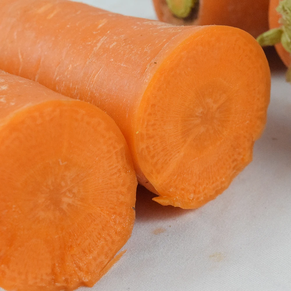 Sell Fresh Carrot Red Carrot Fresh Fresh Fruit Carrot