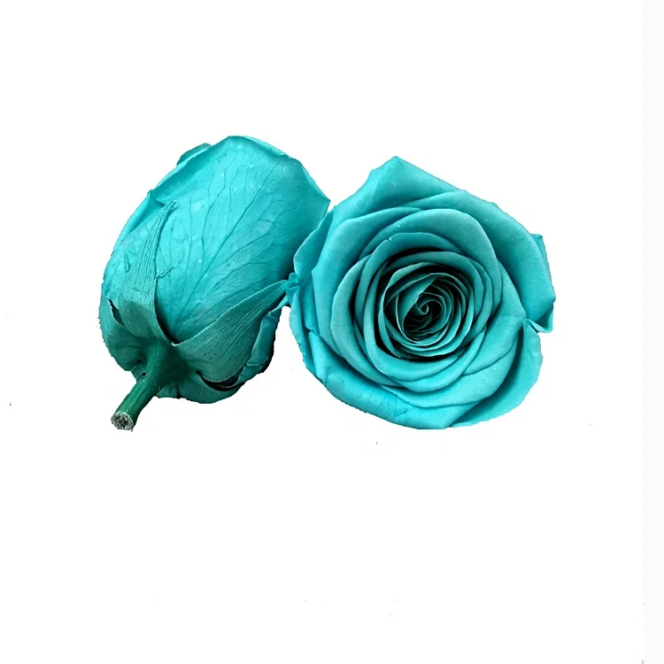 New Arrival Preserved Flower 5-6cm Preserved Rose Head For Decoration Or Gift
