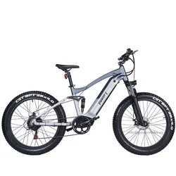 48V 15Ah Lithium Battery Electric Fat Bike 1000W Weldless Aluminum Frame Powerul E Bike