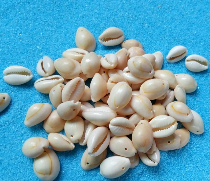 hair mountings braiding cowrie shell beads for hair accessories shell hair clip decor 1kg