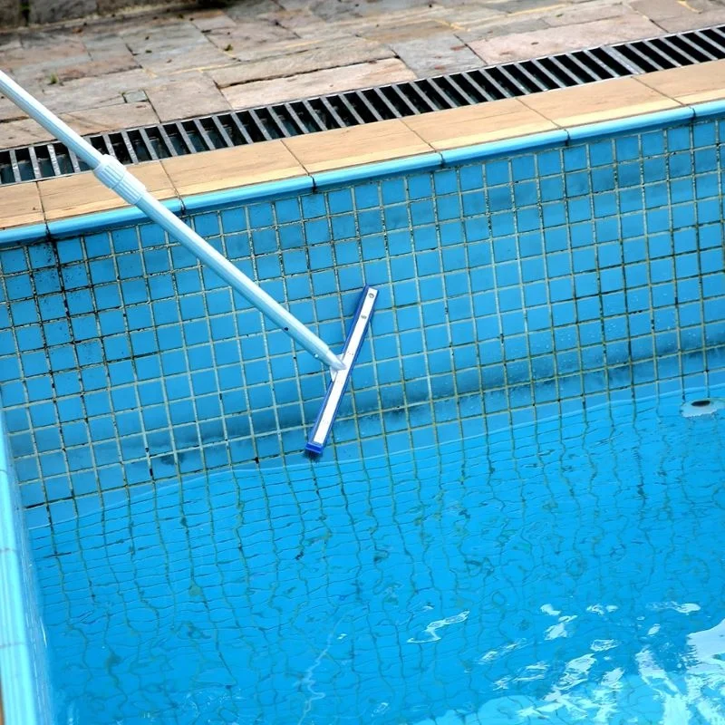 Waterproof 18inch Swimming Pool Steel Brush Bottom Cleaning Supplies for Pond Spa Hot Spring swimming Pool equipment