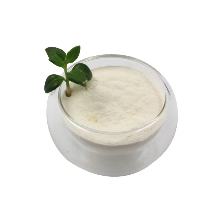 Wholesale Pure Lactobacillus Reuteri Probiotics Powder Good For The Gut