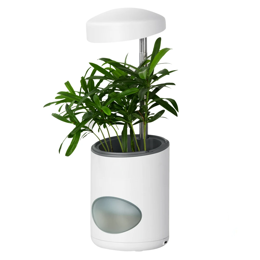 WF-24168 Hot sales Home use Plant Lamp Illuminated By sunlight