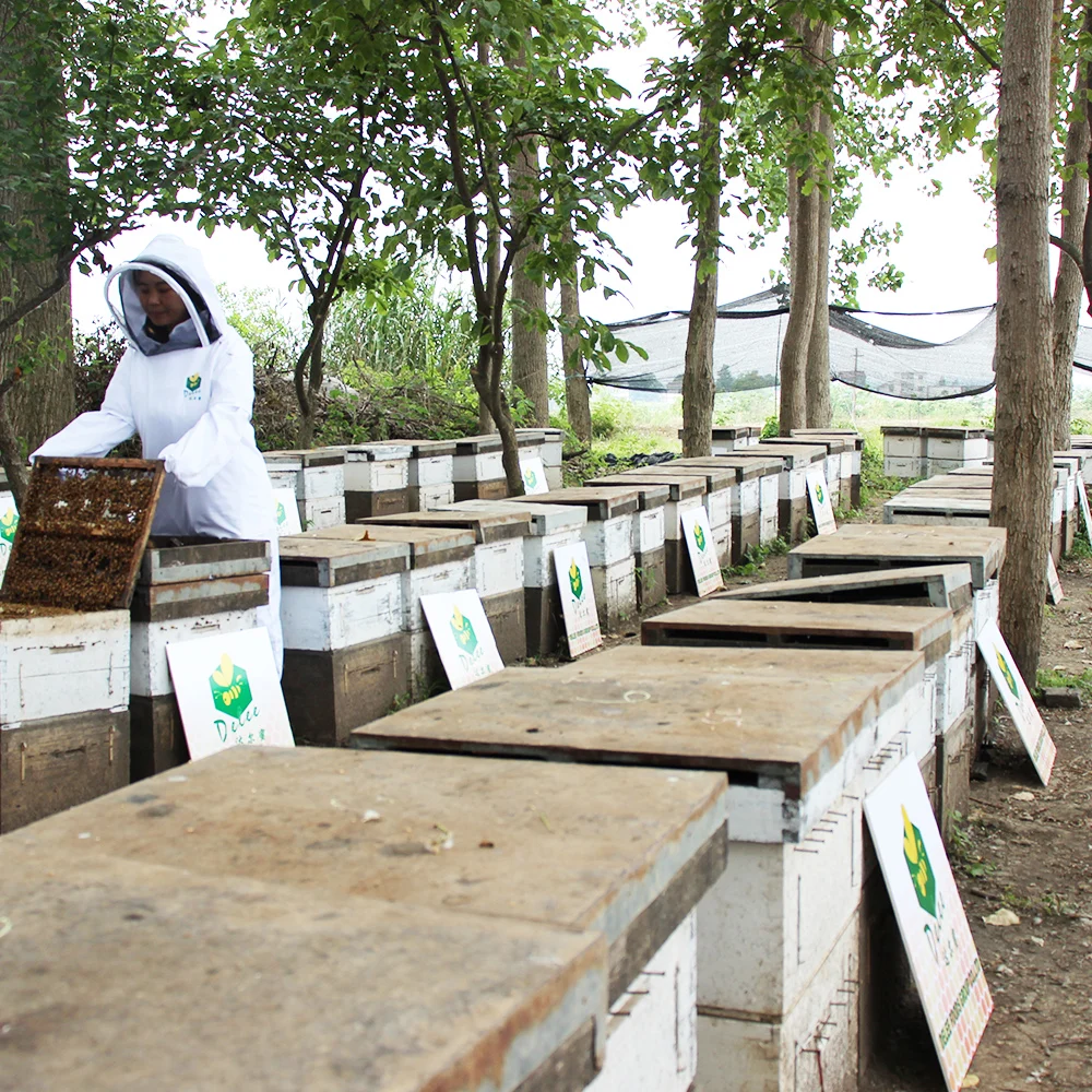 100% Pure Bee  Natural Mad Honey 500 Glass Jar