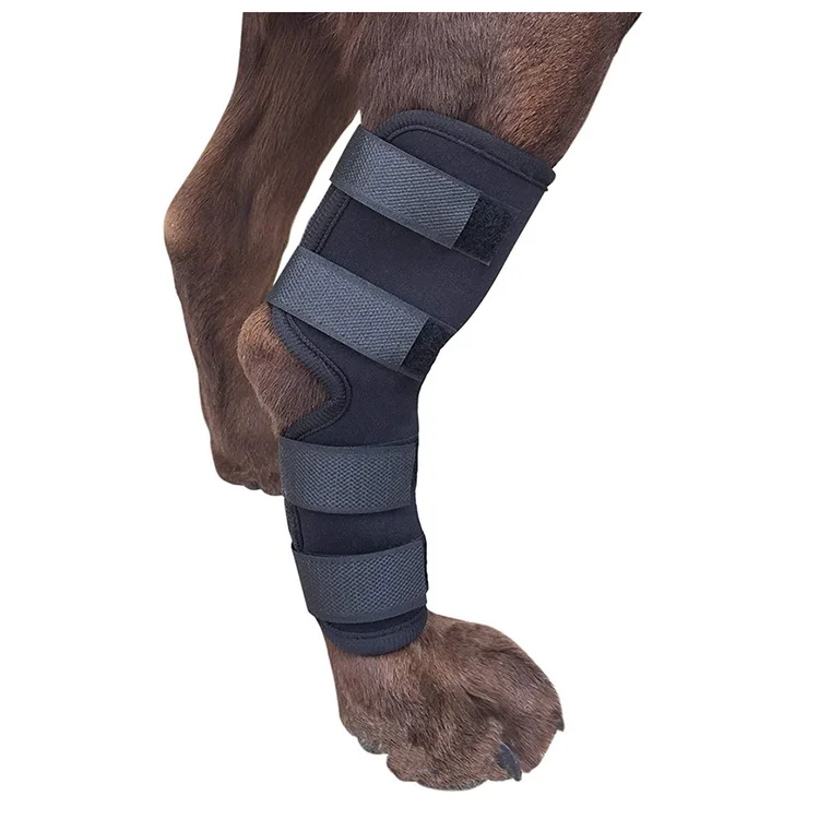 Hot Selling Recovery Protector Sleeve Dog Knee Brace Neoprene Leg for