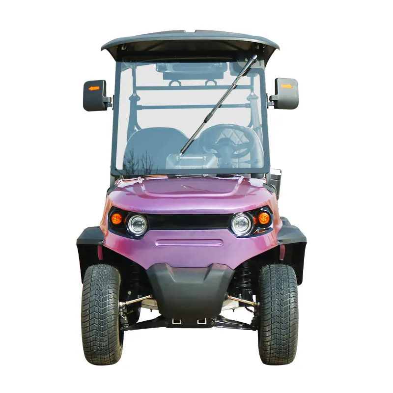 New Design Steel 4 Person Motorized Street Legal Custom 72v Electric Golf Cart