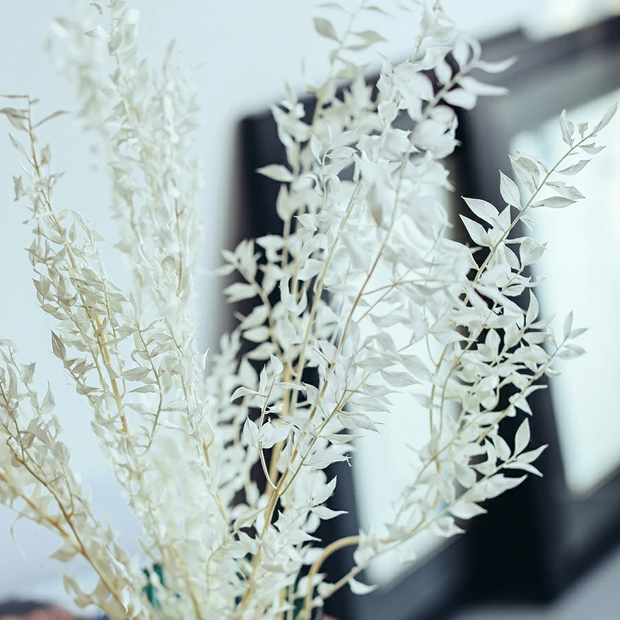  Оптовая продажа засушенные цветы Ruscus натуральные для украшения