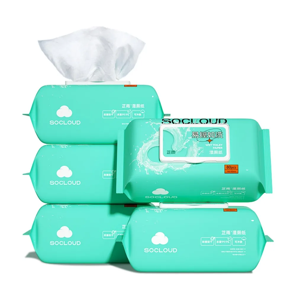 Wholesale Natural Organic 100% Biodegradable Unscented Disposable Toilet Cleaning Wipes Adult Flushable Wet Wipes