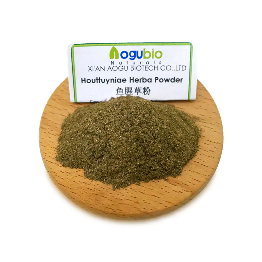 Natural Traditional Herb Houttuynia Cordata Extract 10:1 Plant Houttuynia Cordata Extract Powder