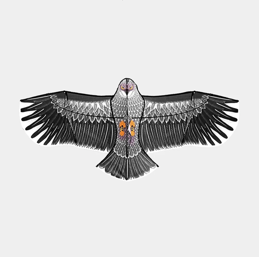 Eagle bird easy Outdoor flying custom printded  kids  adult  Kite