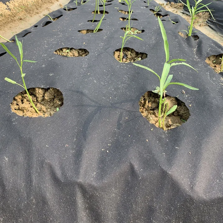 Agriculture nonwoven fabric PP Spunbond Nonwoven Fabric for crop frost cover protection