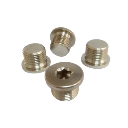 HASCO Brass 1/4 BSP Plug Socket Screw Cooling Plugs