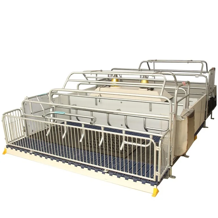 China Best Choice Sow Farrowing Crates Gestation Crates Pig Farm Equipment Pens Farrow Crate