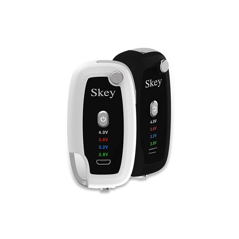 2021 Best Vape Pen Variable Voltage 500 mah Key Shape Battery for CBD Oil Cartridges